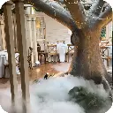 low fog 09.webp