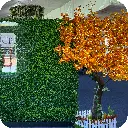 2m Tree 04.webp