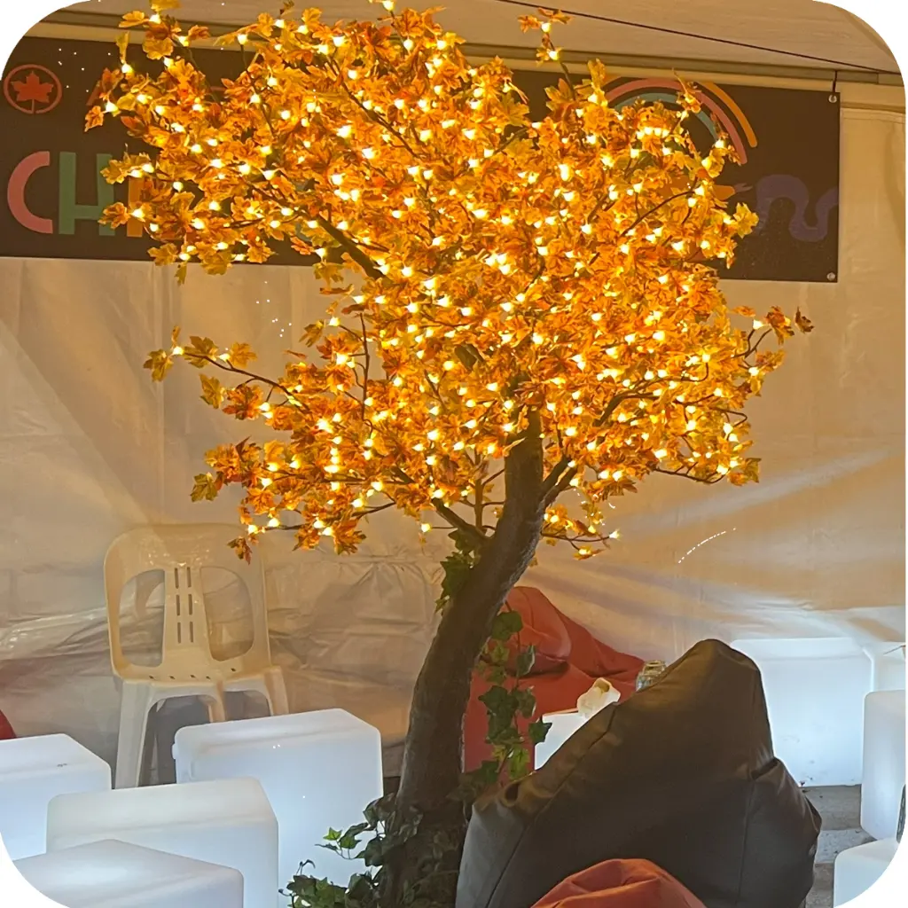 2m Tree 03.webp