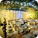 2m Tree 02.webp