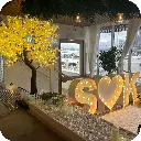 2m Tree 09.webp