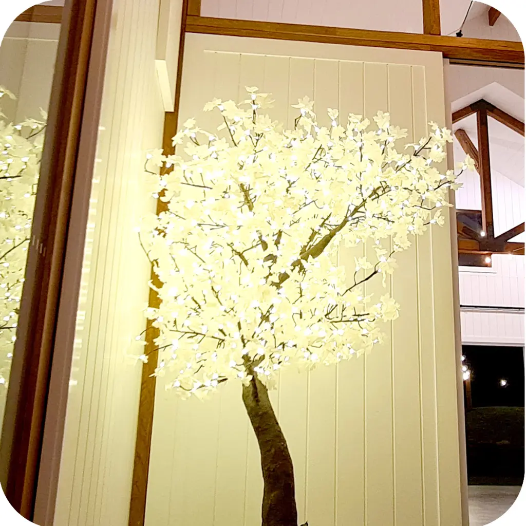 2m Tree 11.webp