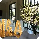 2m Tree 01.webp