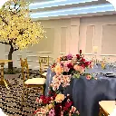 3m tree 6.webp
