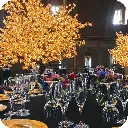 3m tree 4.webp