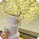 3m tree 7.webp