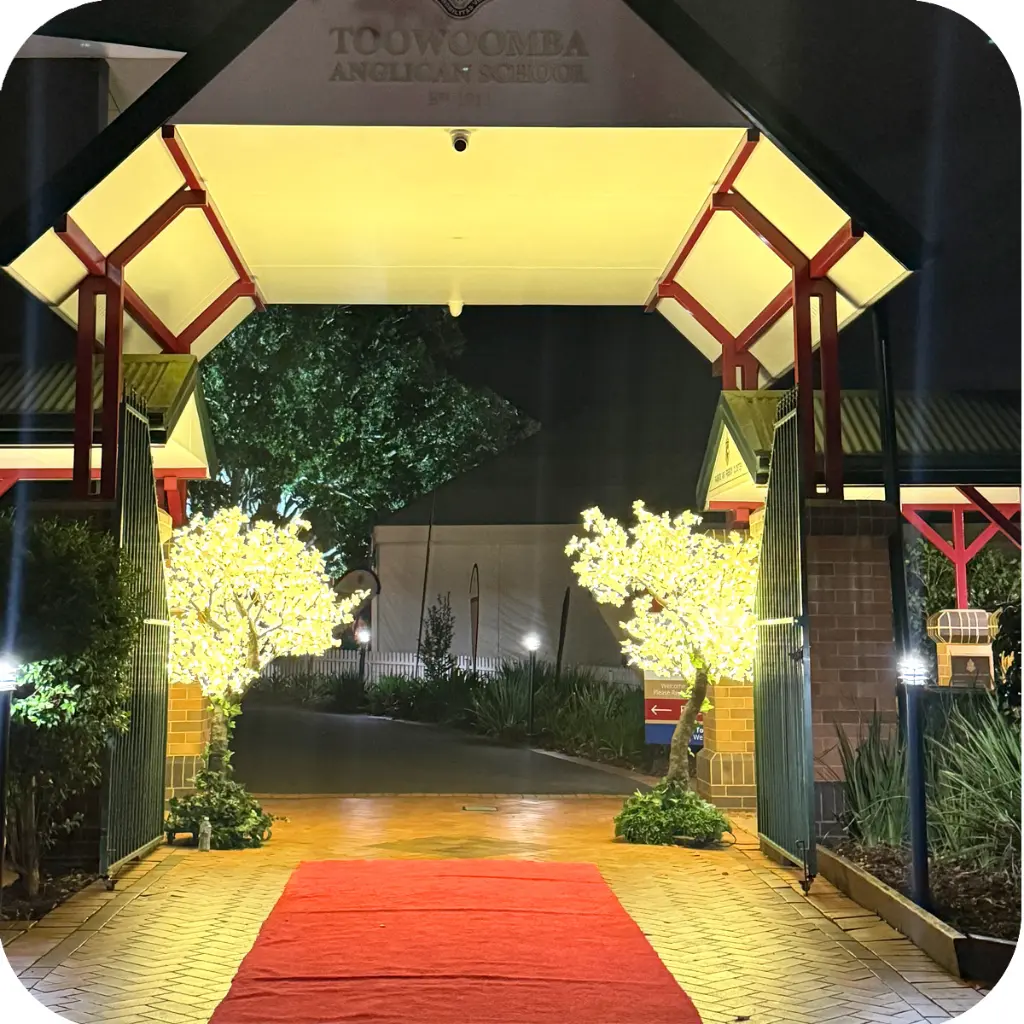red carpet 2.webp