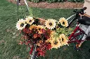 unnamed2a.webp